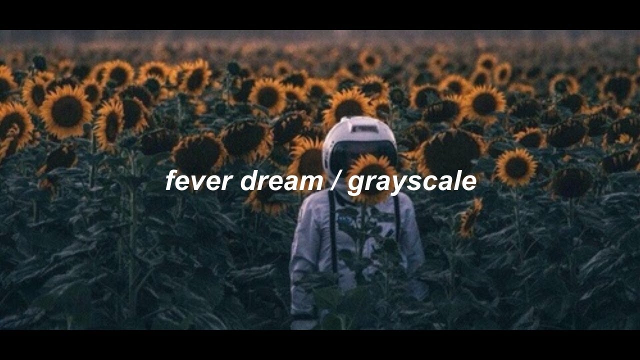 fever dream / grayscale (lyrics)