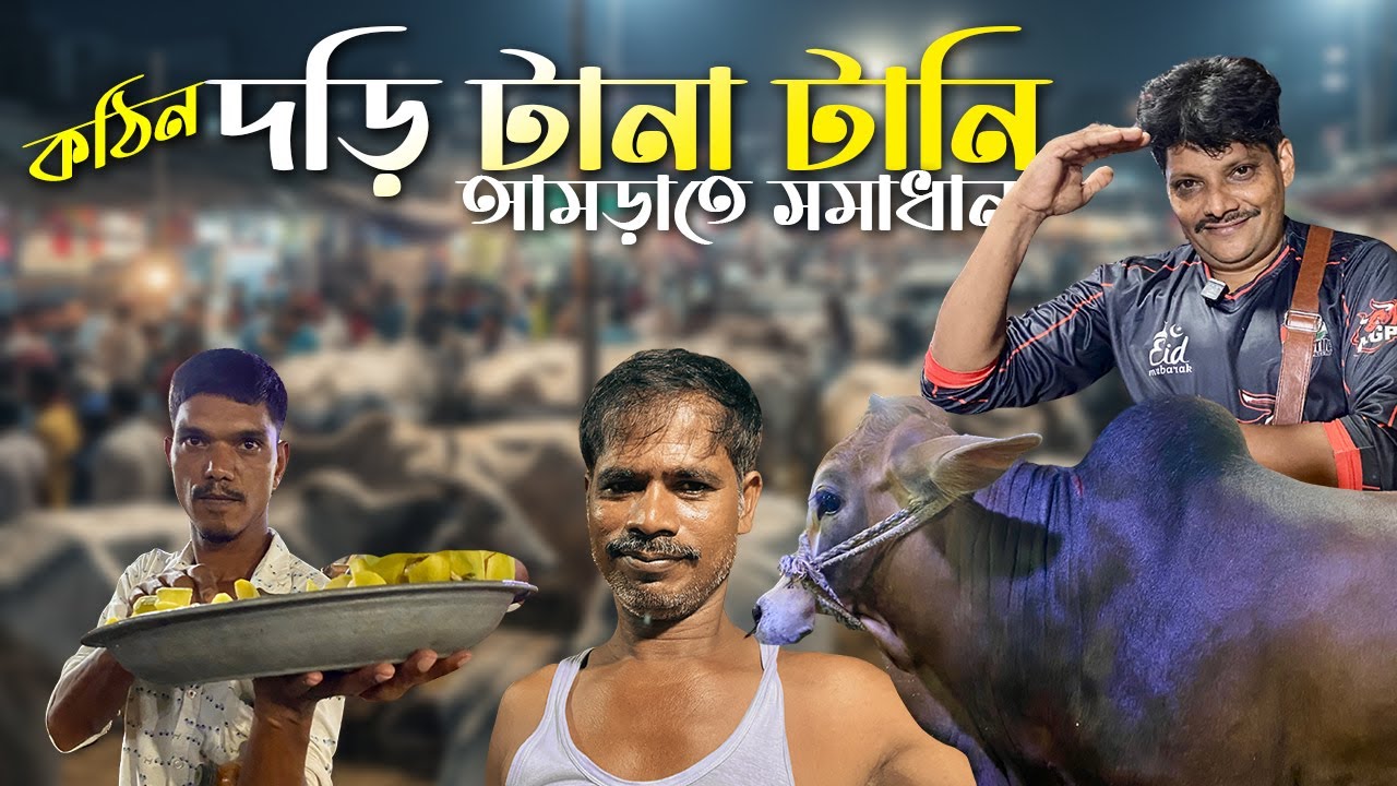 গাবতলী হাটে দড়ি টানাটানি! 😱 আকরাম ভাই নিলেন মঞ্জু বেপারীর ২ দেশি ষাঁড় 🐂 | Gabtoli Haat 2025