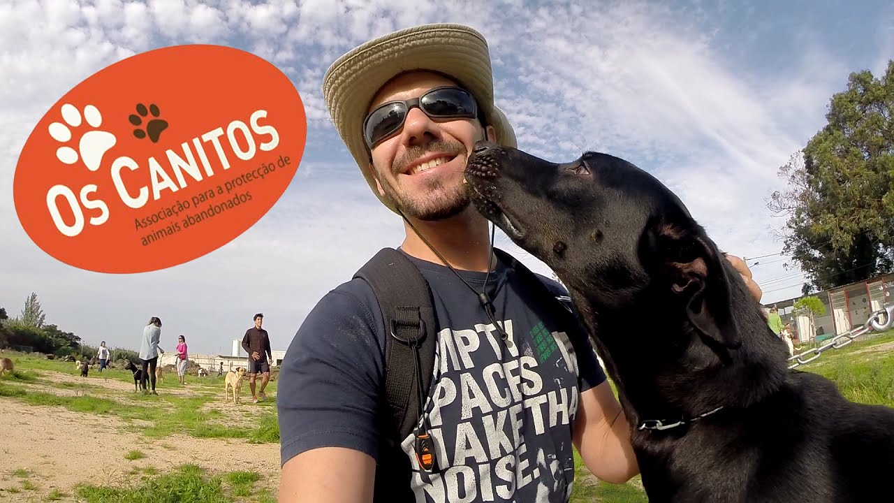 Os Canitos na praia (19.10.2014)