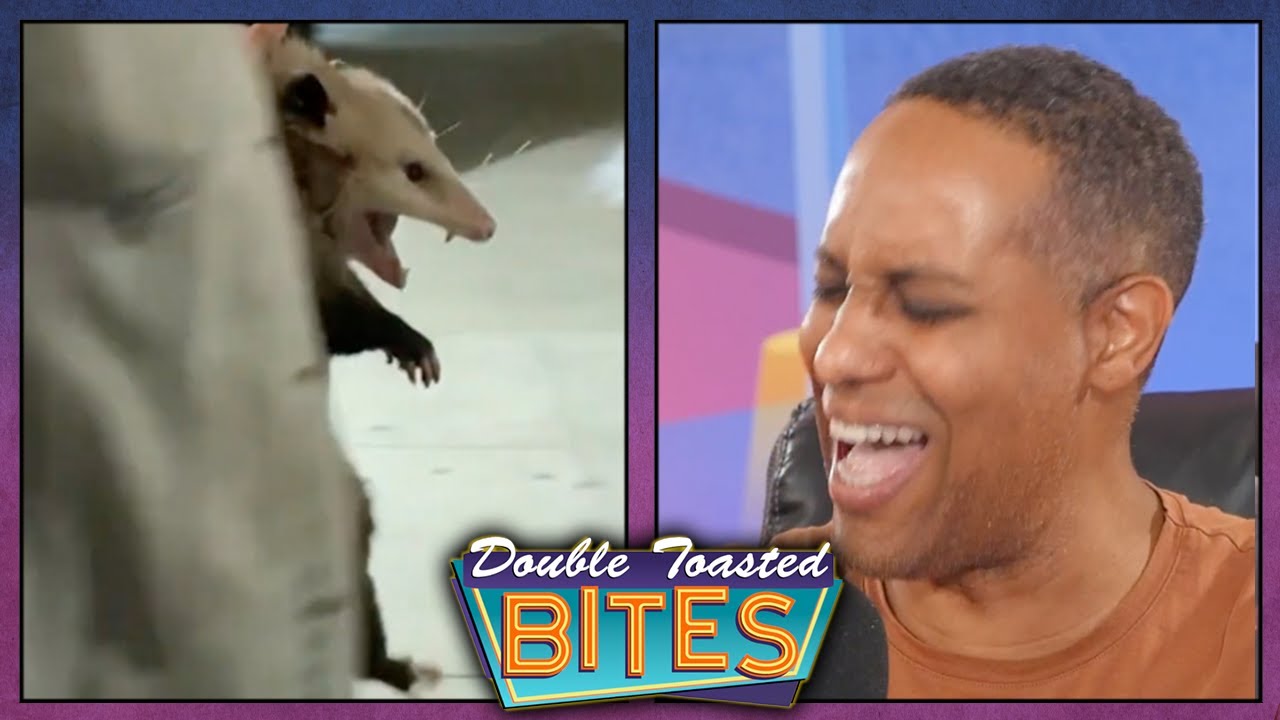 POSSUM KICKED OUT OF BAR | Double Toasted Bites