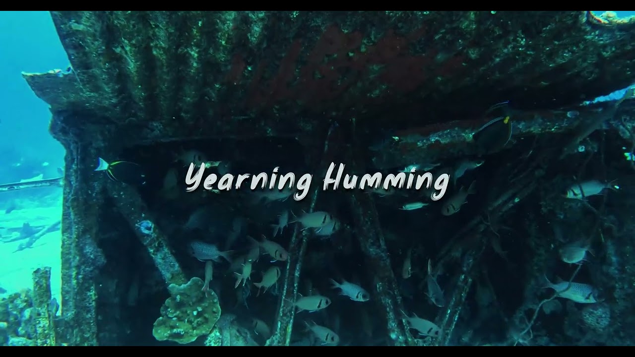 Nasheed - Yearning Humming