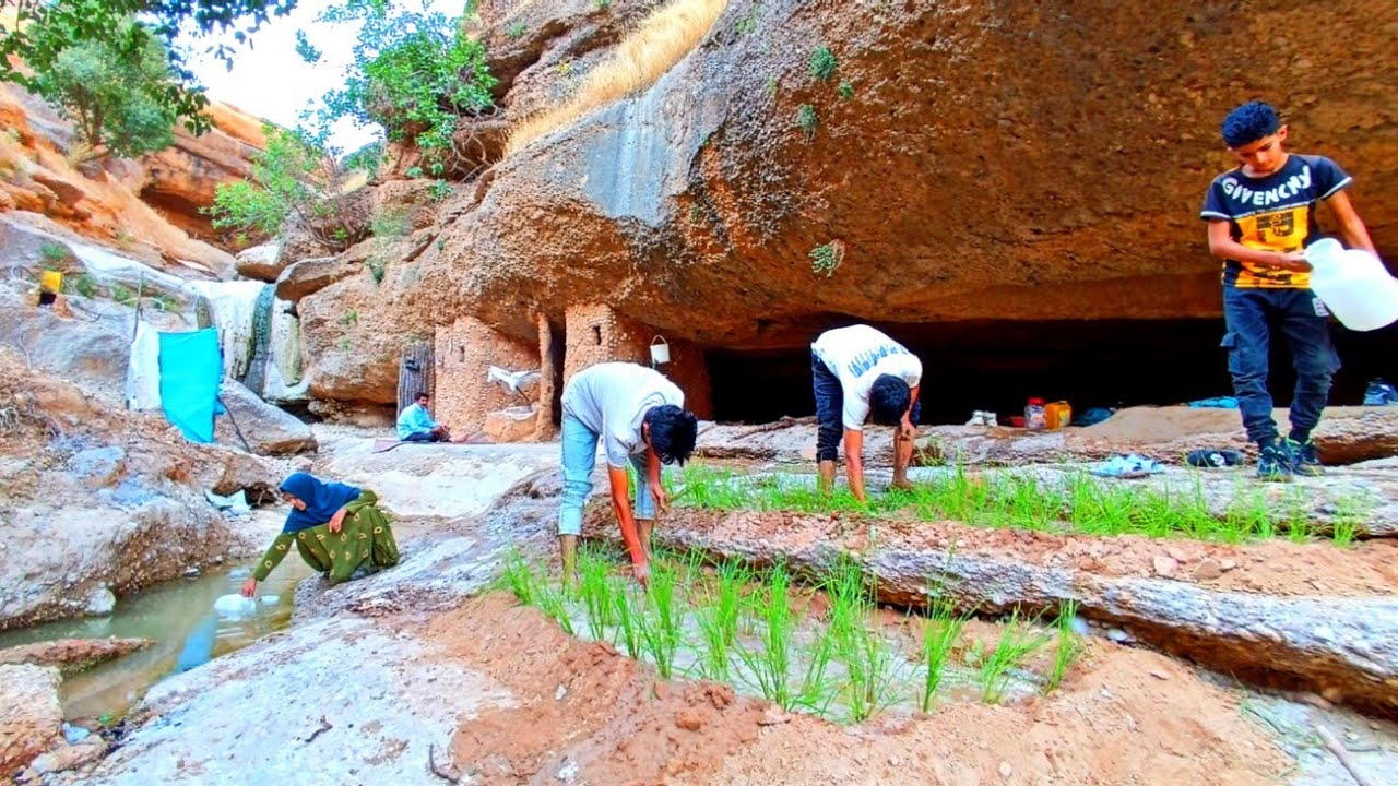 Living in a cave and growing a garden next to Abshar by cooking a whole chicken
