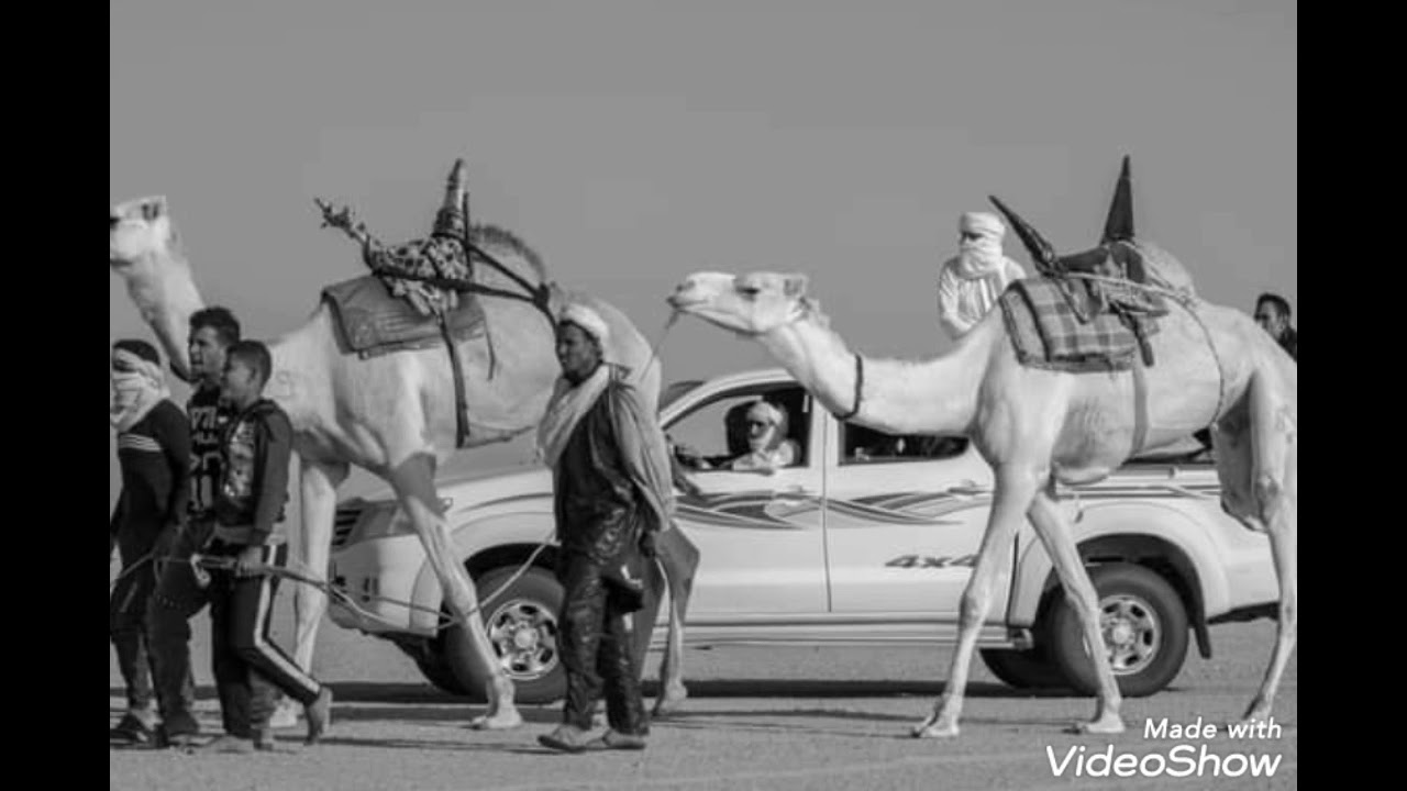 Touareg guitar ياخوتي يالاحرار