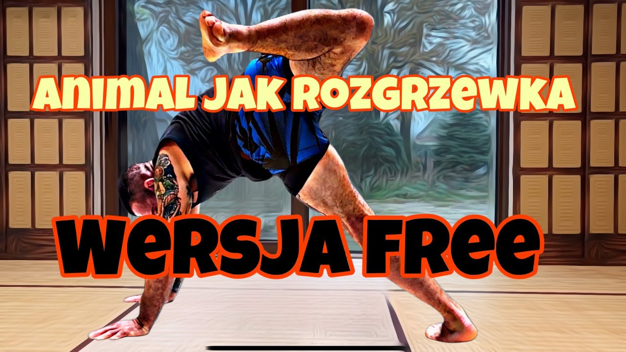 Animal Movement zamiast ROZGRZEWKI | Mobility Trening