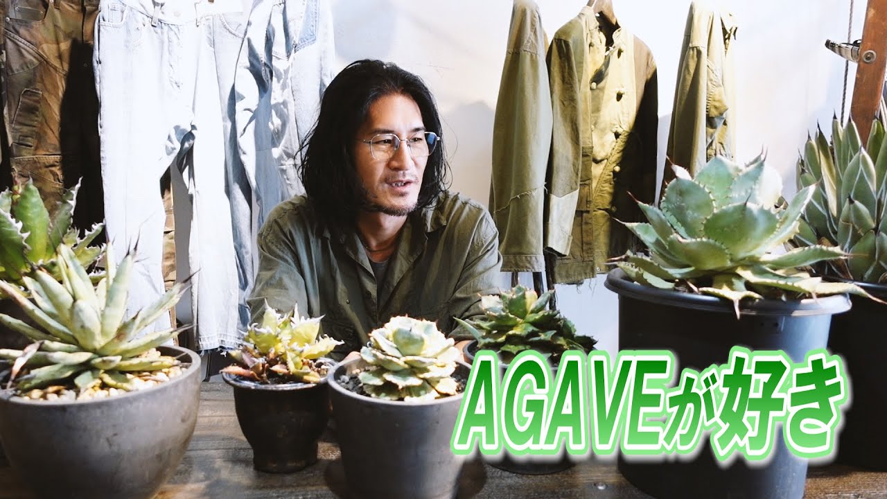 【AGAVE】デザイナーの趣味