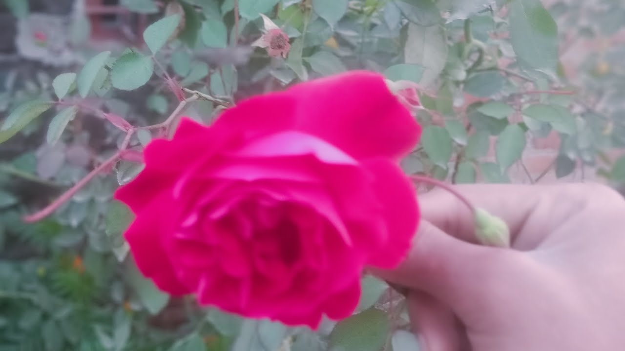 राधे राधे यूट्यूब फैमिली राधे राधे आप सभी कुमार लाइव में स्वागत है 🙏❤