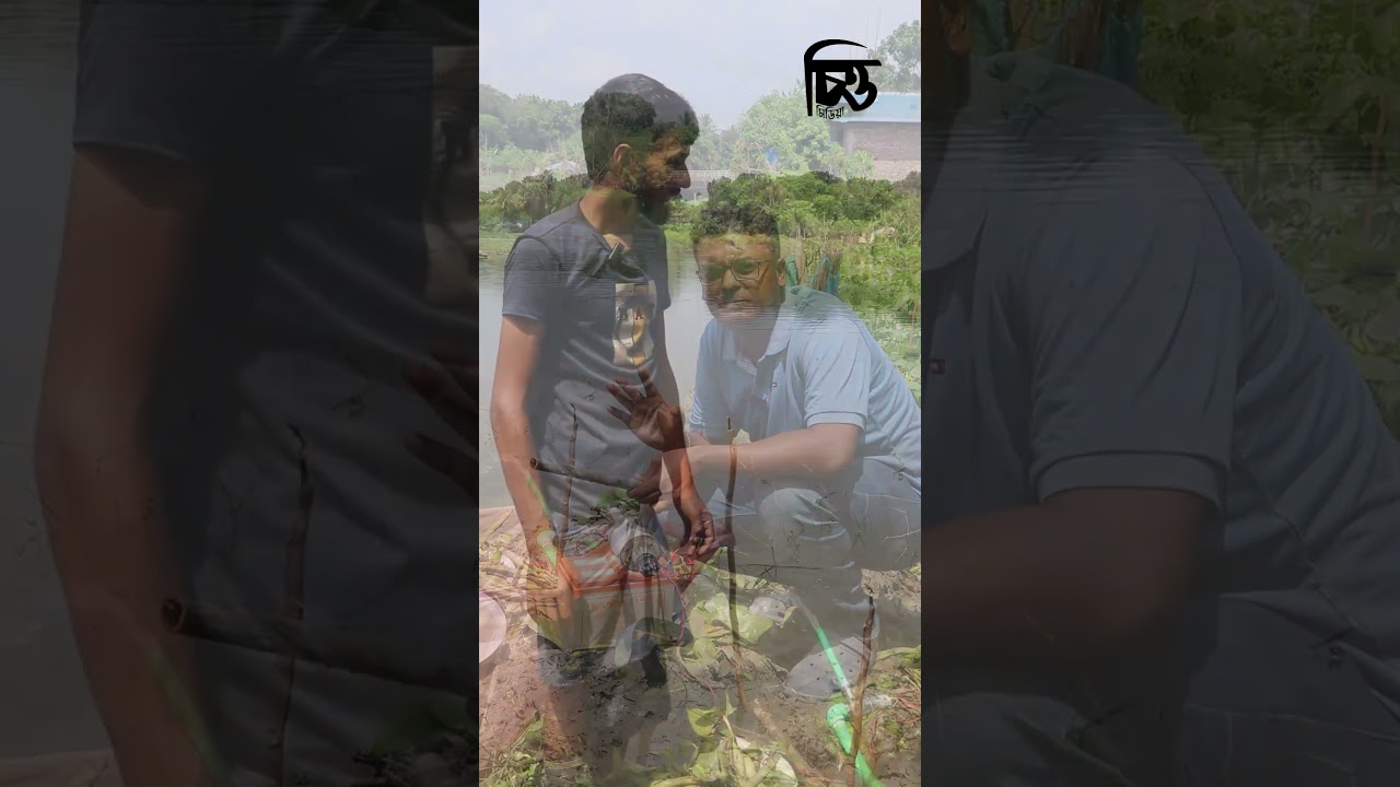 ঝিনাইদহে অভিনব পদ্ধতিতে মাছ শি&rsquo;কা&rsquo;র | চিত্ত মিডিয়া