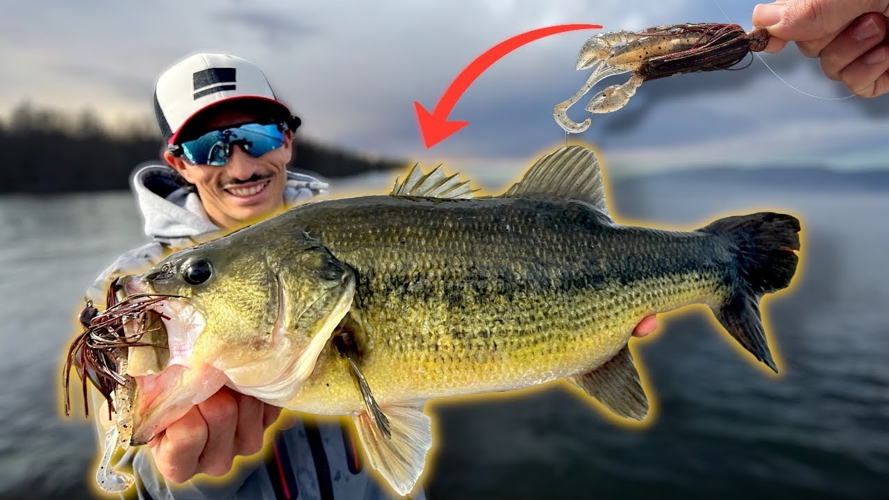 PESCA ai GROSSI Bass del Lago di Bolsena - BASS FISHING in INVERNO 🤯🎣 (4k)
