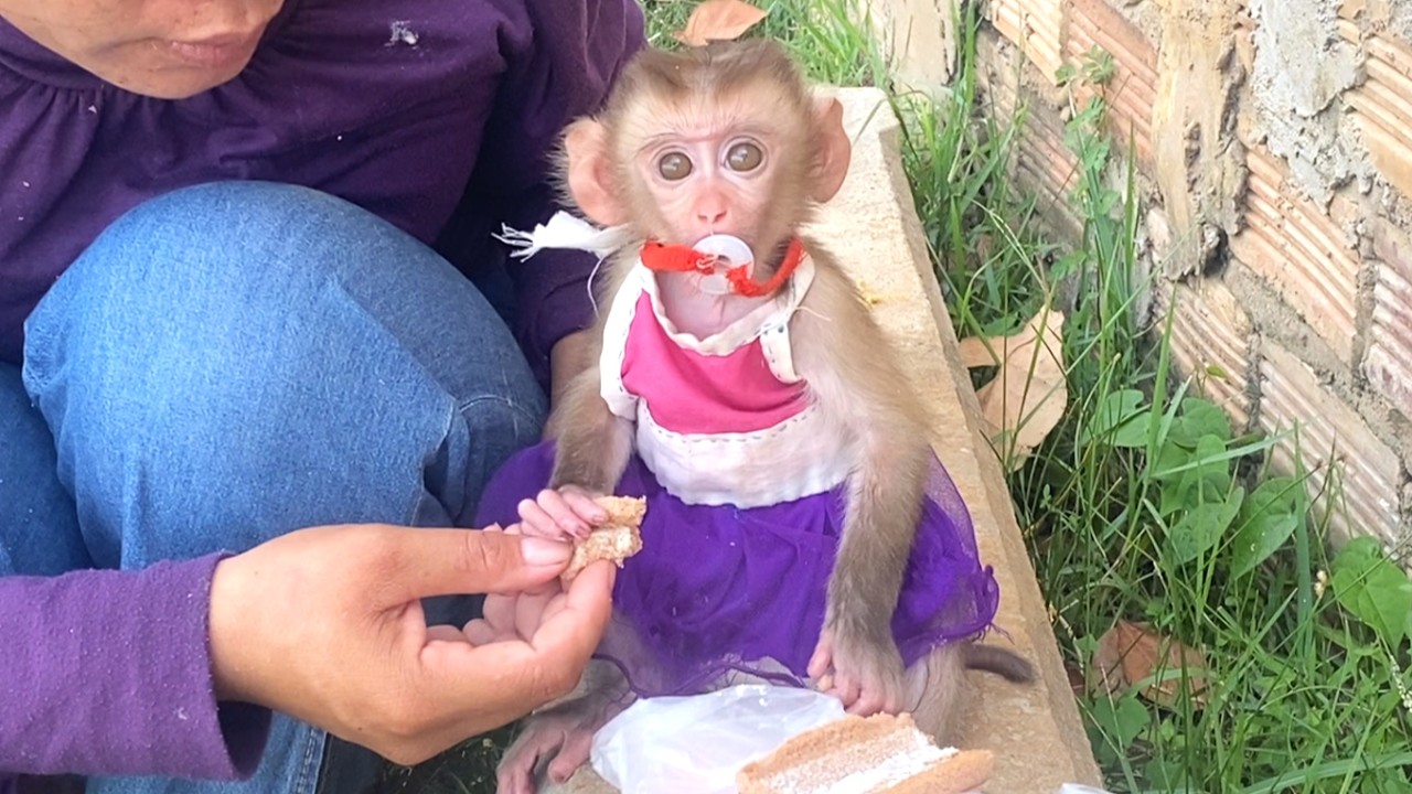 So happy!! Mom took her beautiful little daughter, LIORA, to eat outside and relax