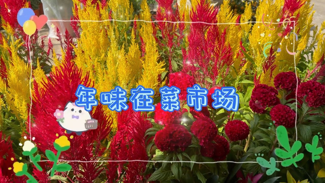 【🧧🐎🇸🇬🧨退休日常生活🇸🇬】道地菜市场的年味The new year atmosphere of the local market