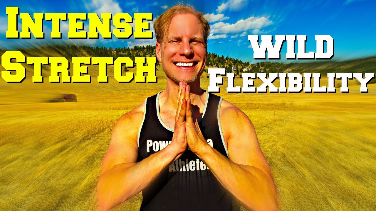 20 Minute Flexibility Stretch | Sean Vigue Fitness