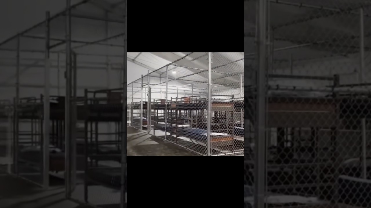 ¿Abusos en Alligator Alcatraz? 