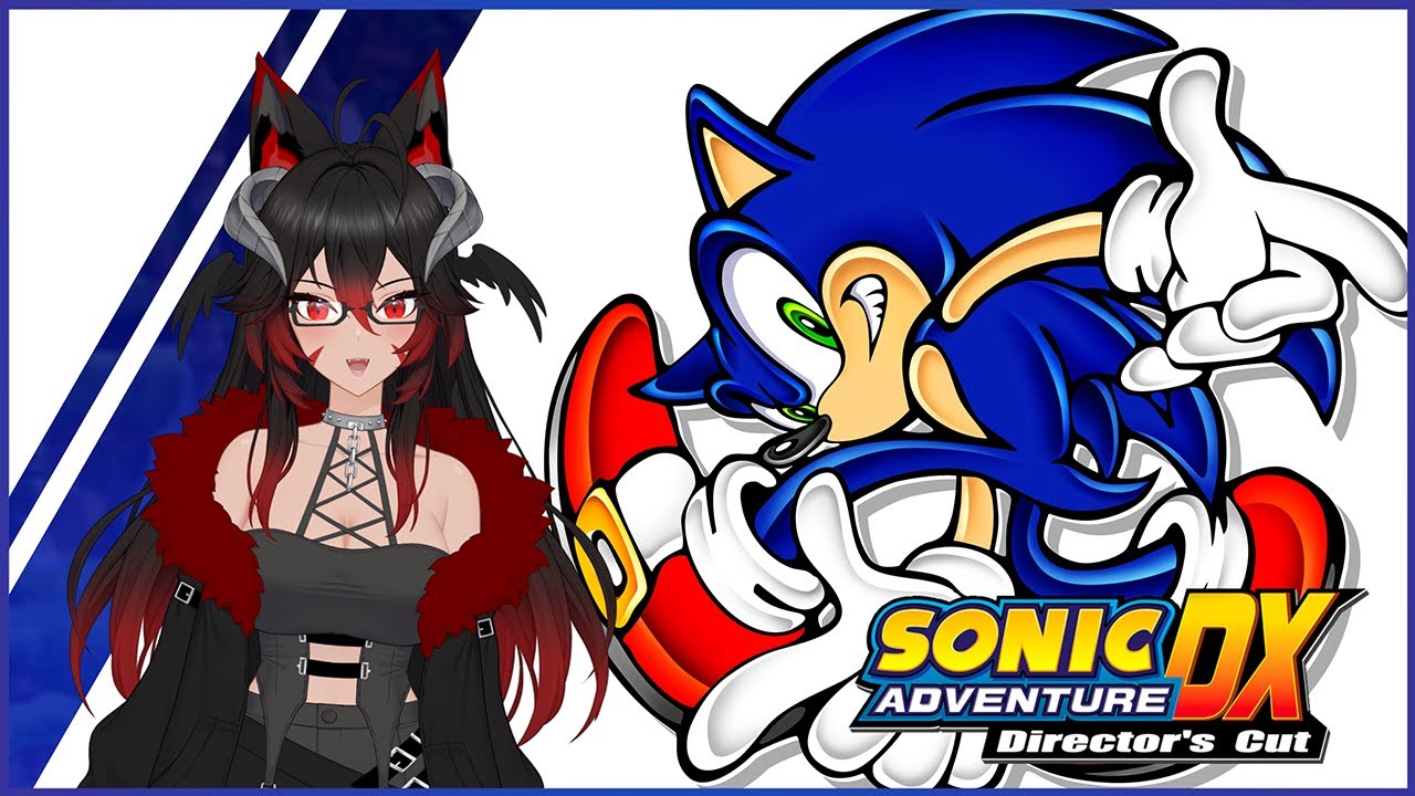 We're Goin On A Sonic Adventure!