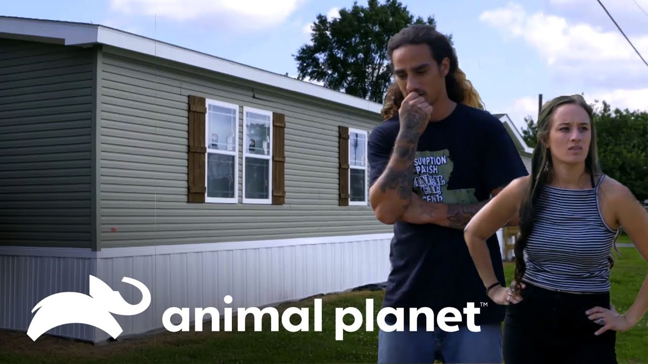 Se incendia su casa y el perro les salva la vida | Pit bulls y convictos | Animal Planet