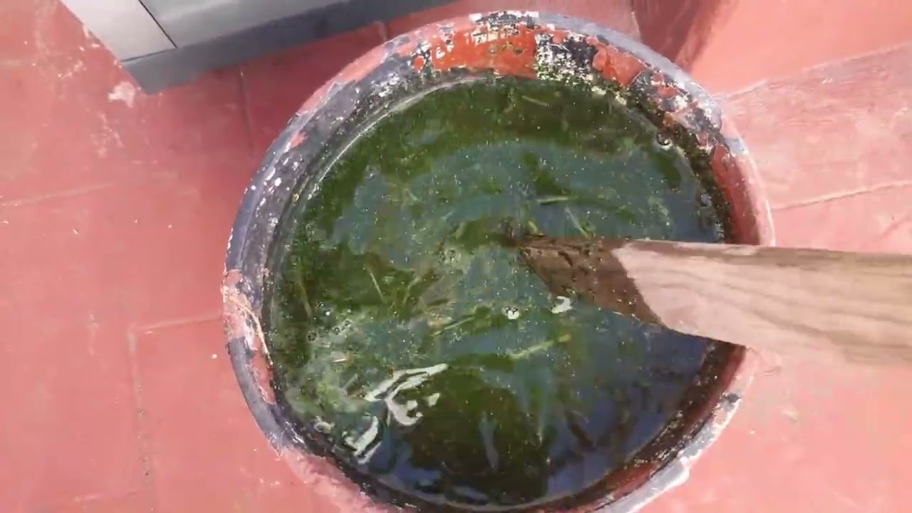 La ortiga como  hacer el purín.Nettle: how to make slurry