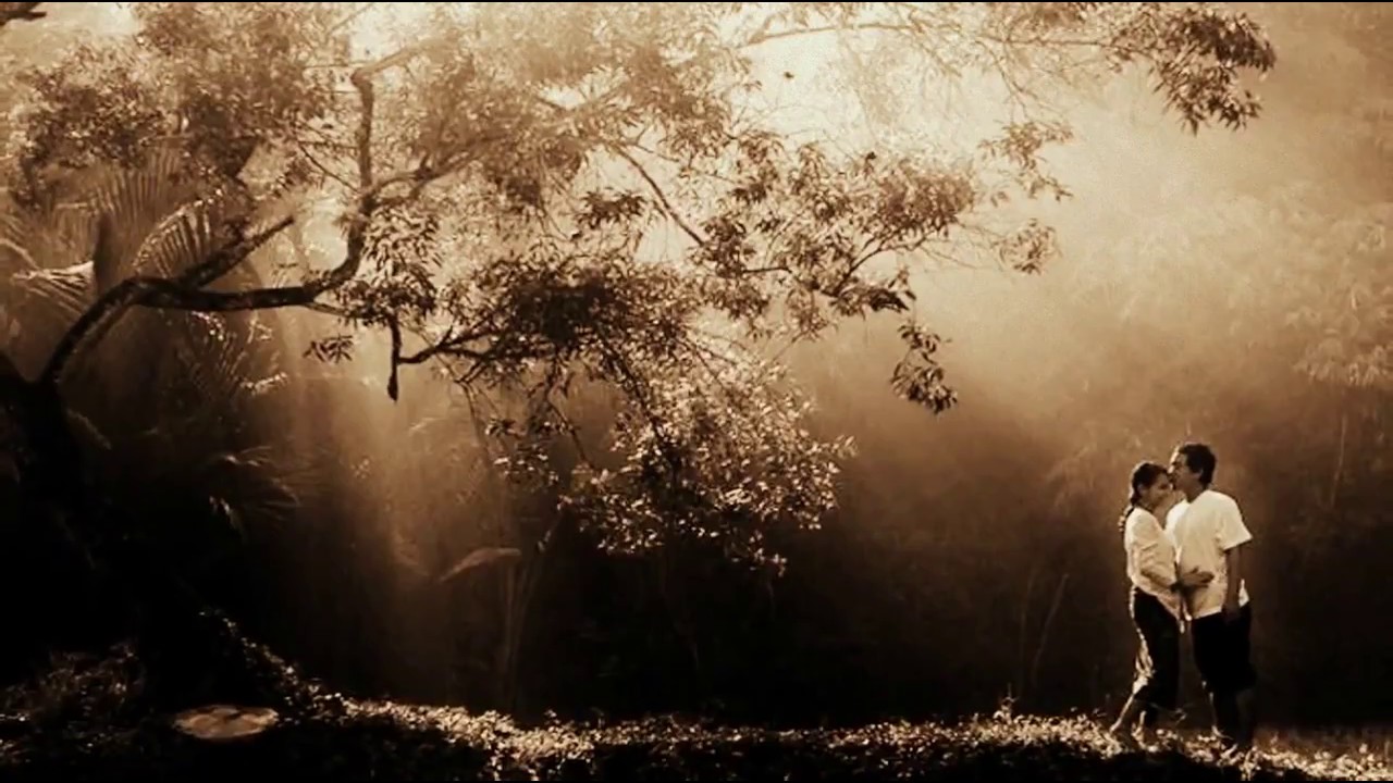 Feelings   Leonidas Pahtitis - &Lambda;&epsilon;&omega;&nu;ί&delta;&alpha;&sigmaf; &Pi;&alpha;&chi;&tau;ί&tau;&eta;&sigmaf; (cover)