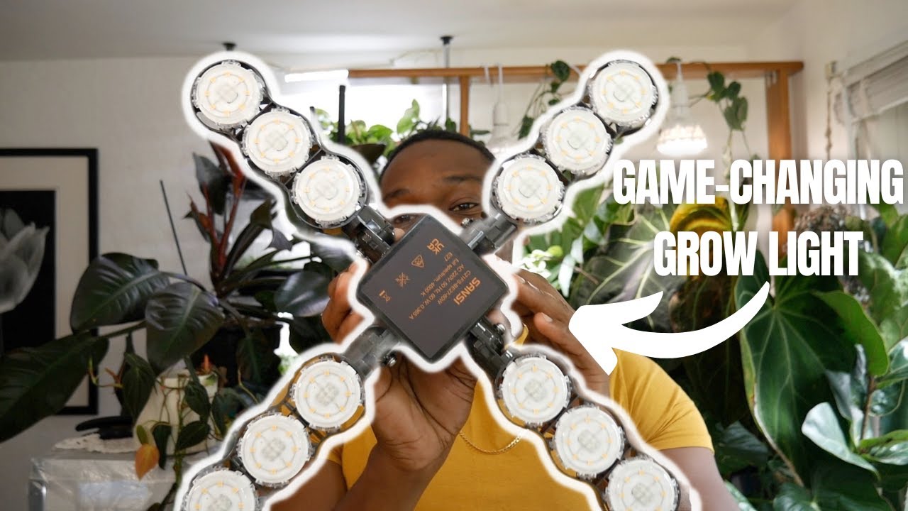 Grow Lights to Improve your Plant Growth