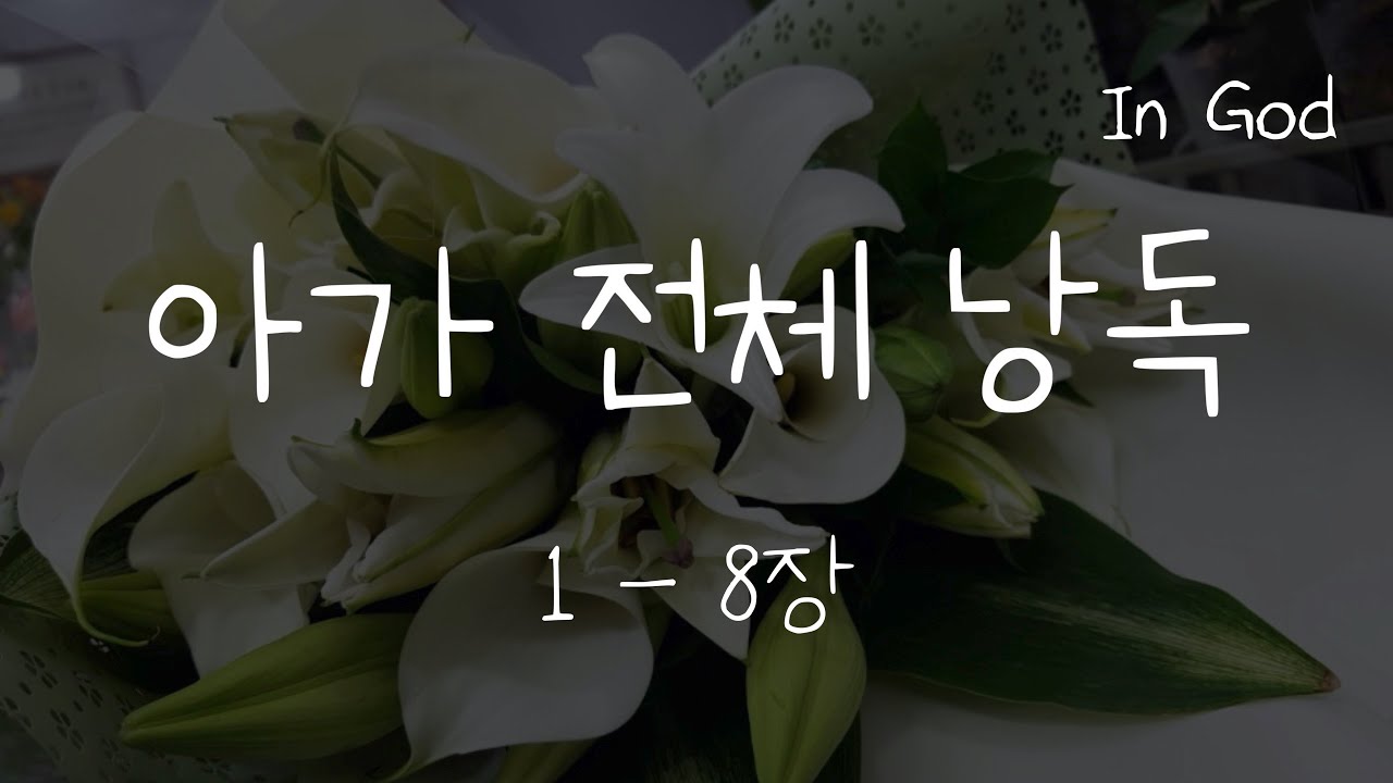 [In God] 아가 전체 낭독 #아가서듣기 #성경듣기66권 #성경낭독하는 남자 #개역개정
