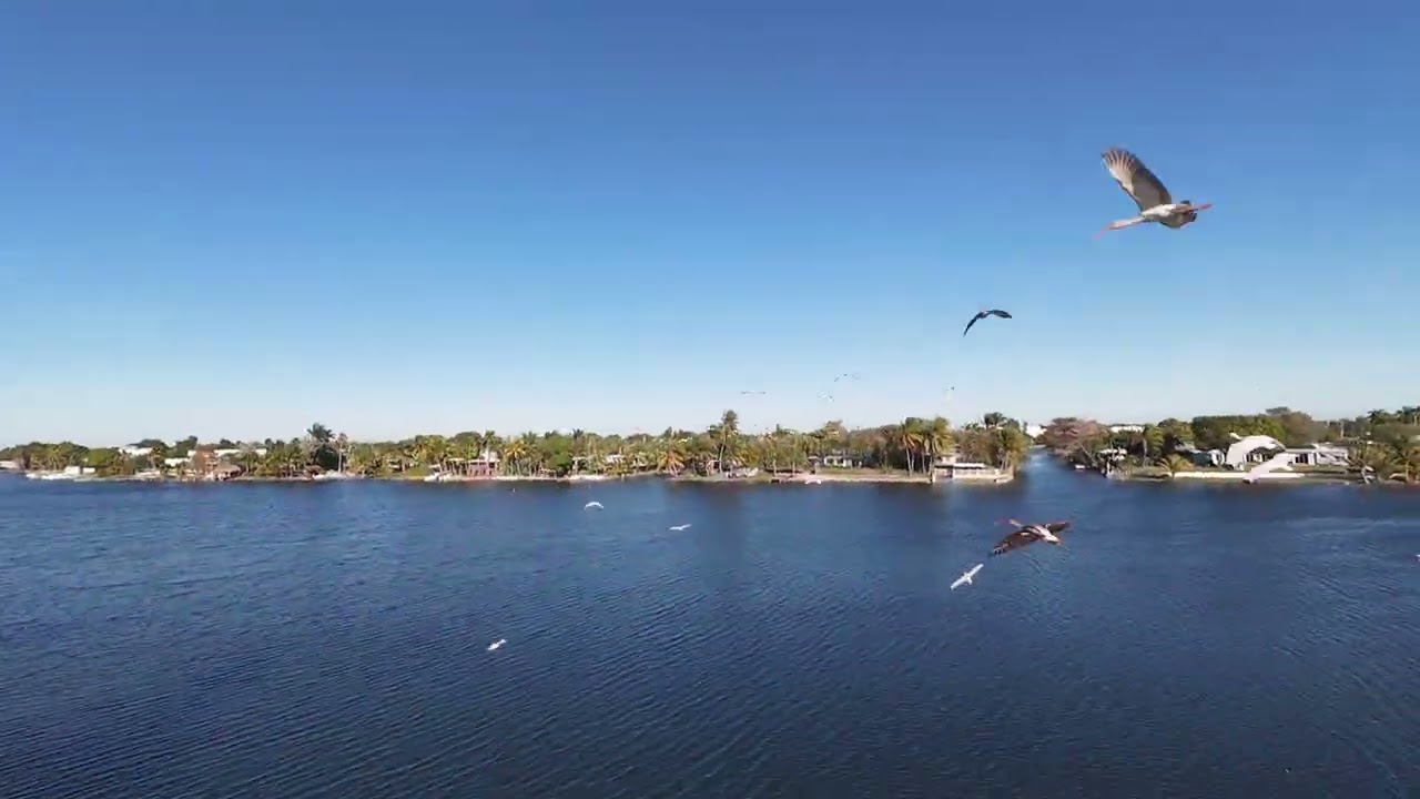 FPV Best flight - Avata 2