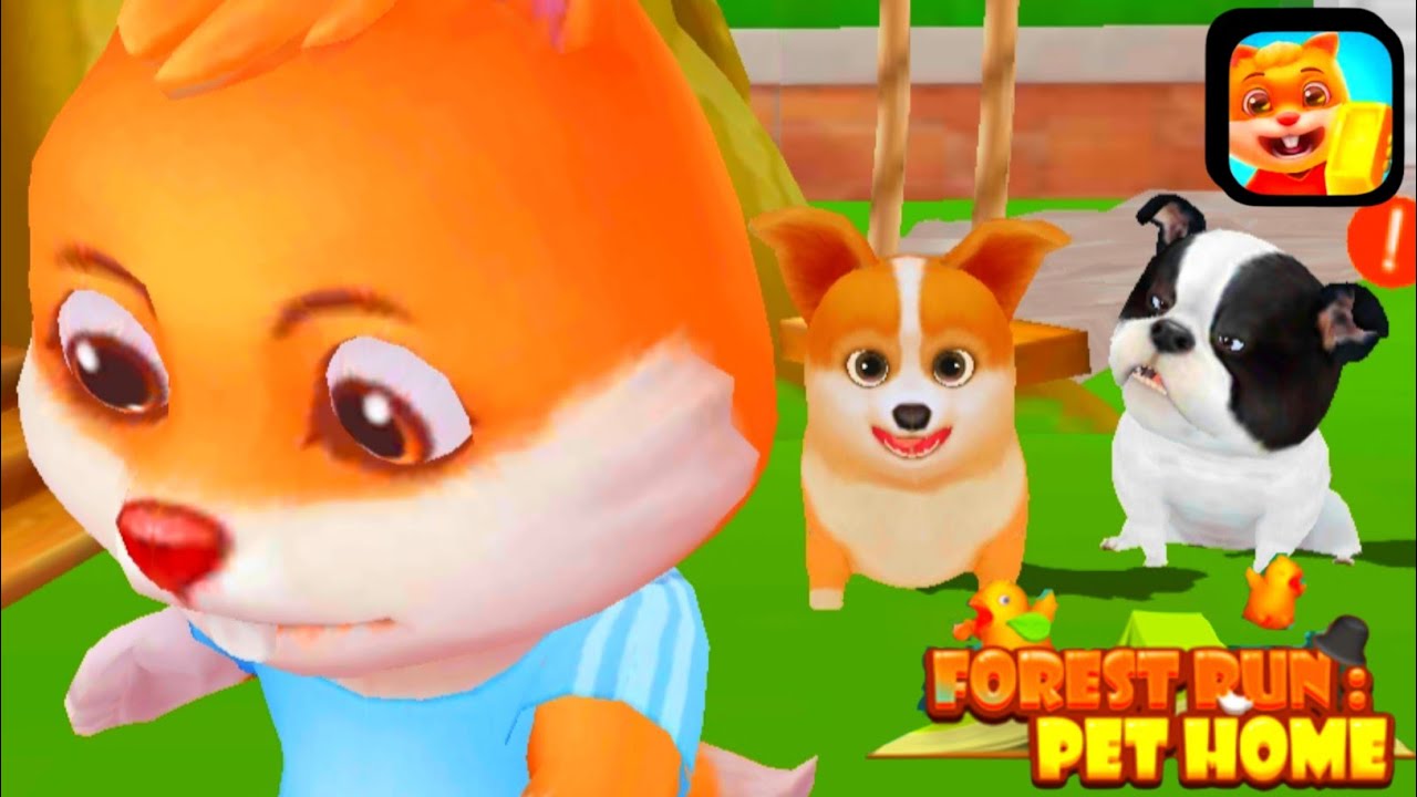 Talking Pet Gold Run : talking pet gold run gameplay walkthrough all level new update ✅