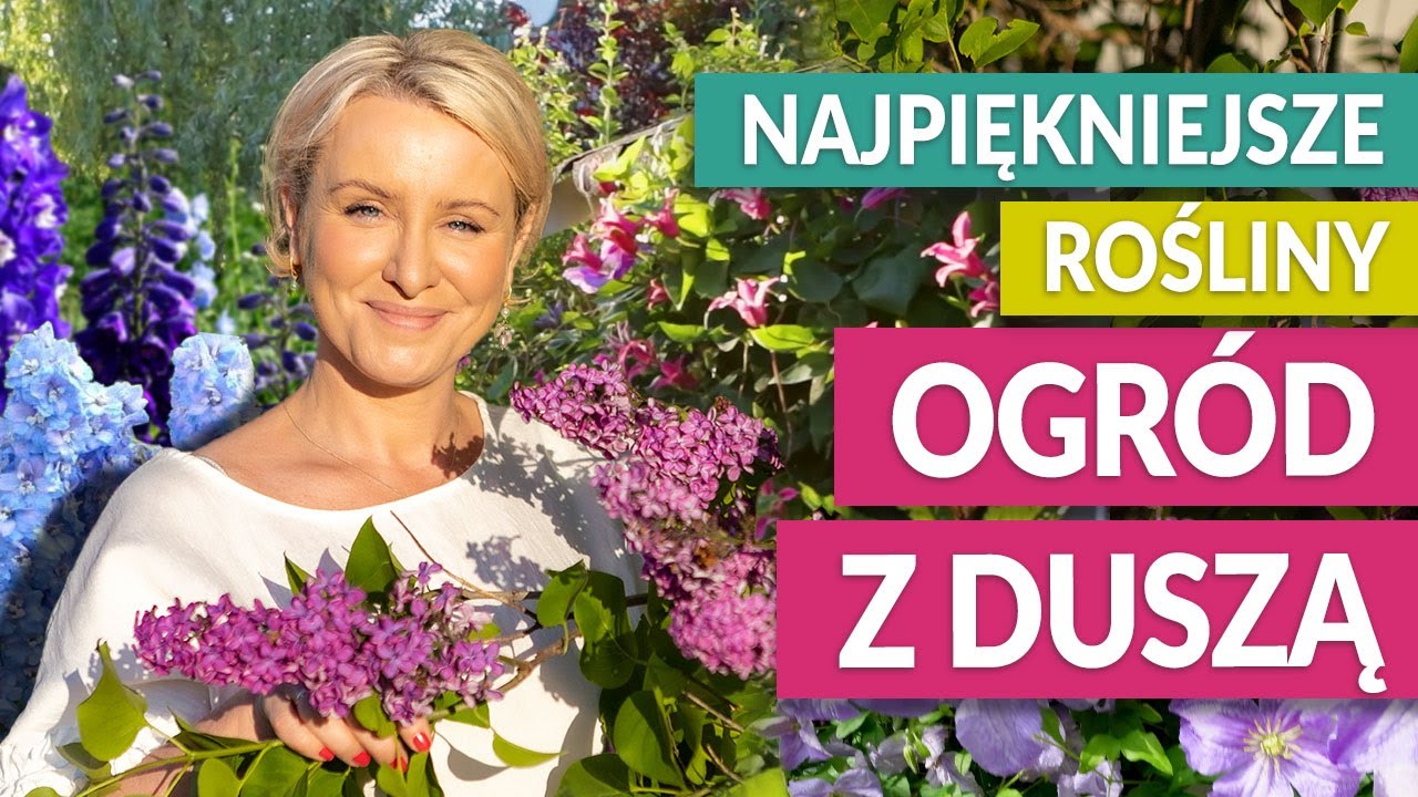 Moje NAJPIĘKNIEJSZE ROŚLINY OGRODOWE. Ogród łączący pokolenia. Dzień mamy | GREEN CANOE