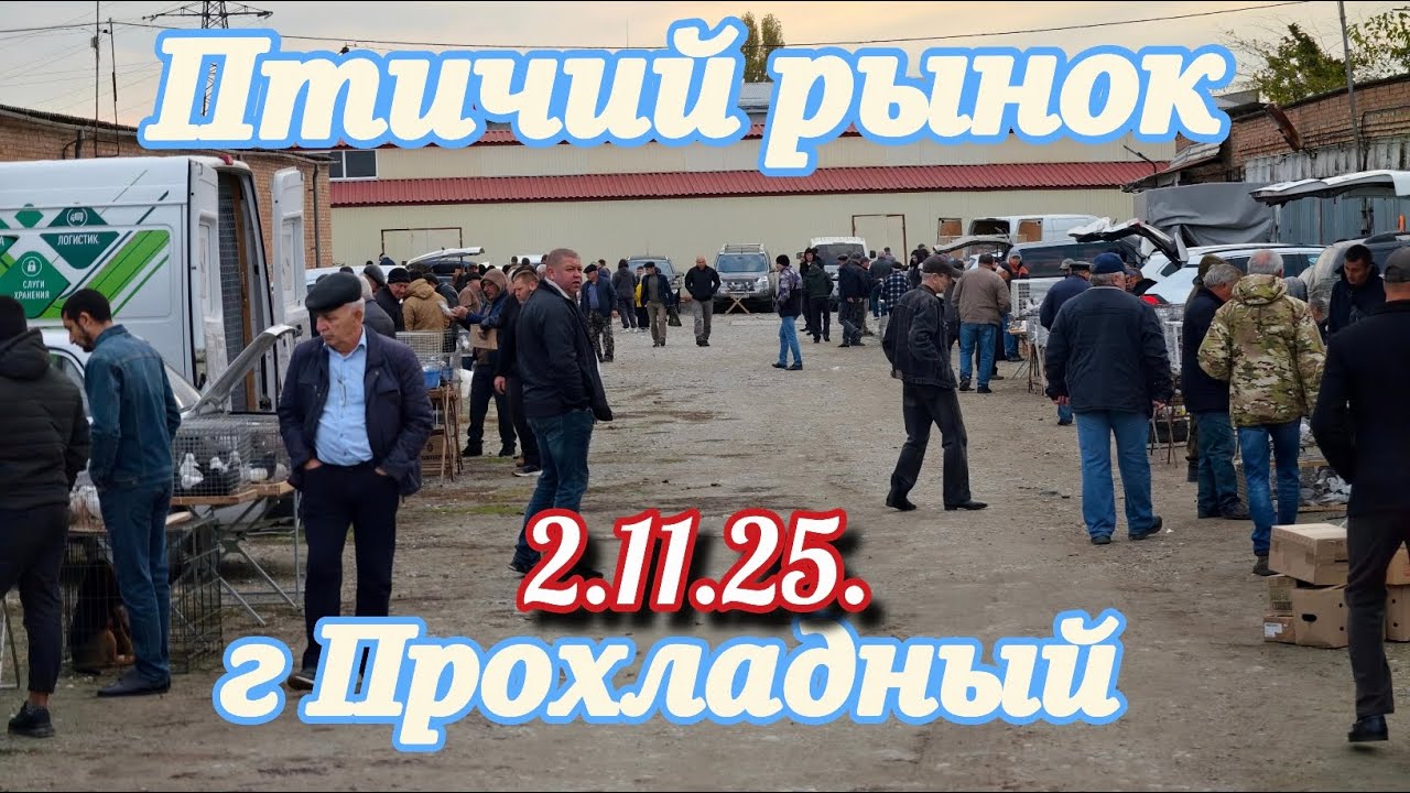 Голуби цены Птичий рынок г Прохладный