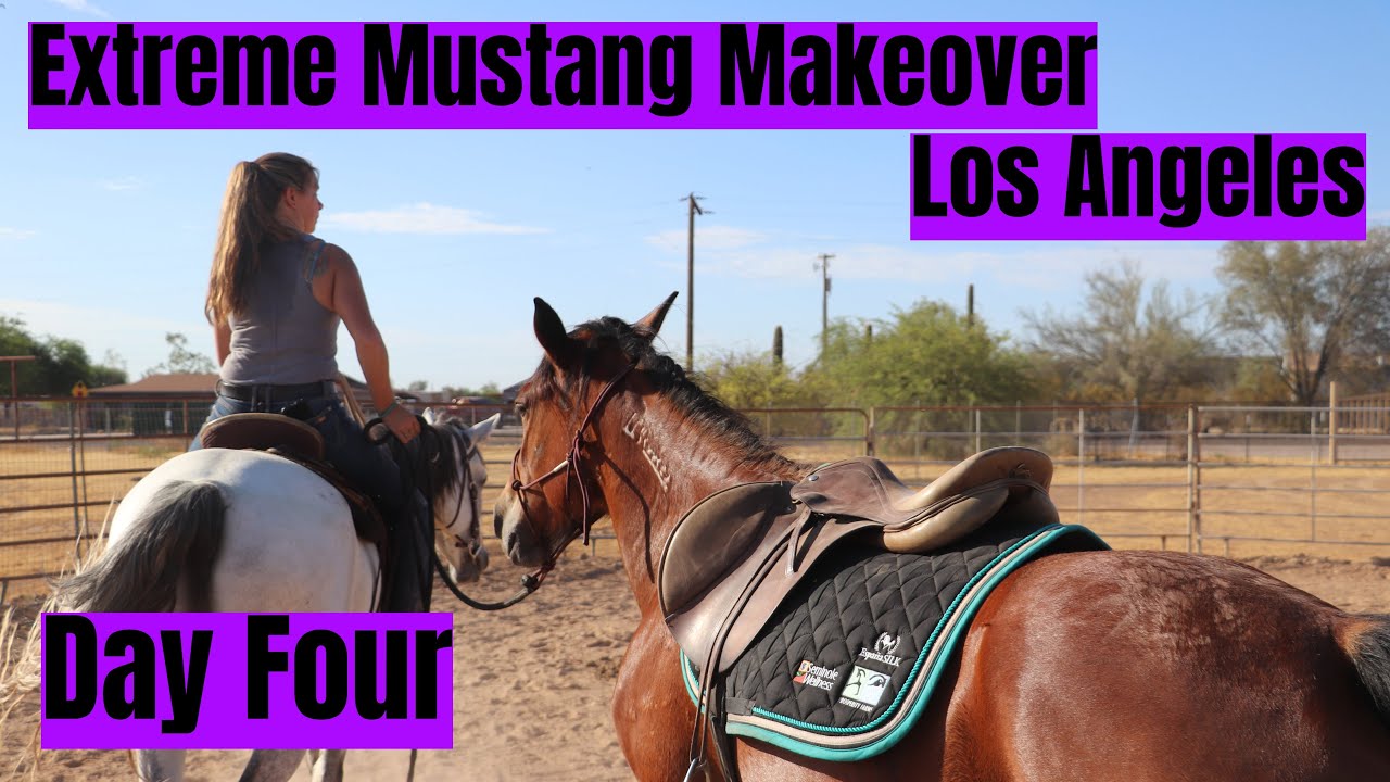 Saddled Up on Day Four w/a Wild Mustang | Los Angeles Extreme Mustang Makeover