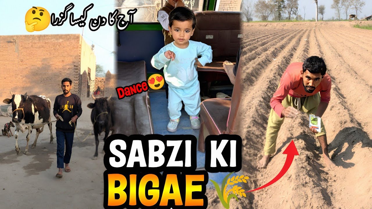  Khet Ma Sabzi Ki Bigae 🧑‍🌾 Cute Baby Dance 😍آج کا دن کیسا گزرا 🤔