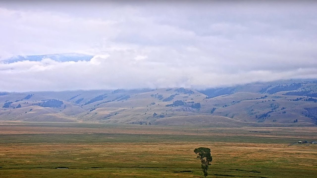 National Museum of Wildlife Art - Live Elk Refuge