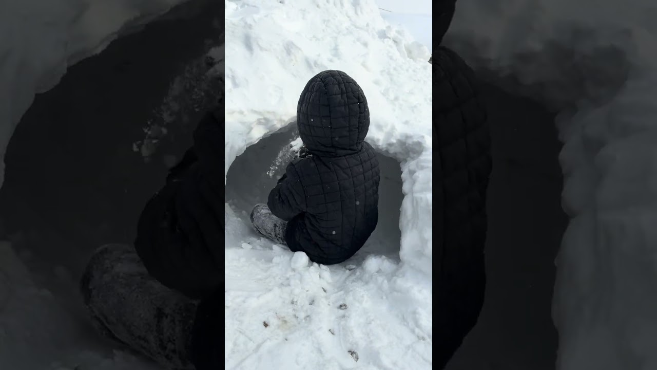 Building an Igloo in Our Driveway | Phase 2🧊UGLY TURTLE 🐢