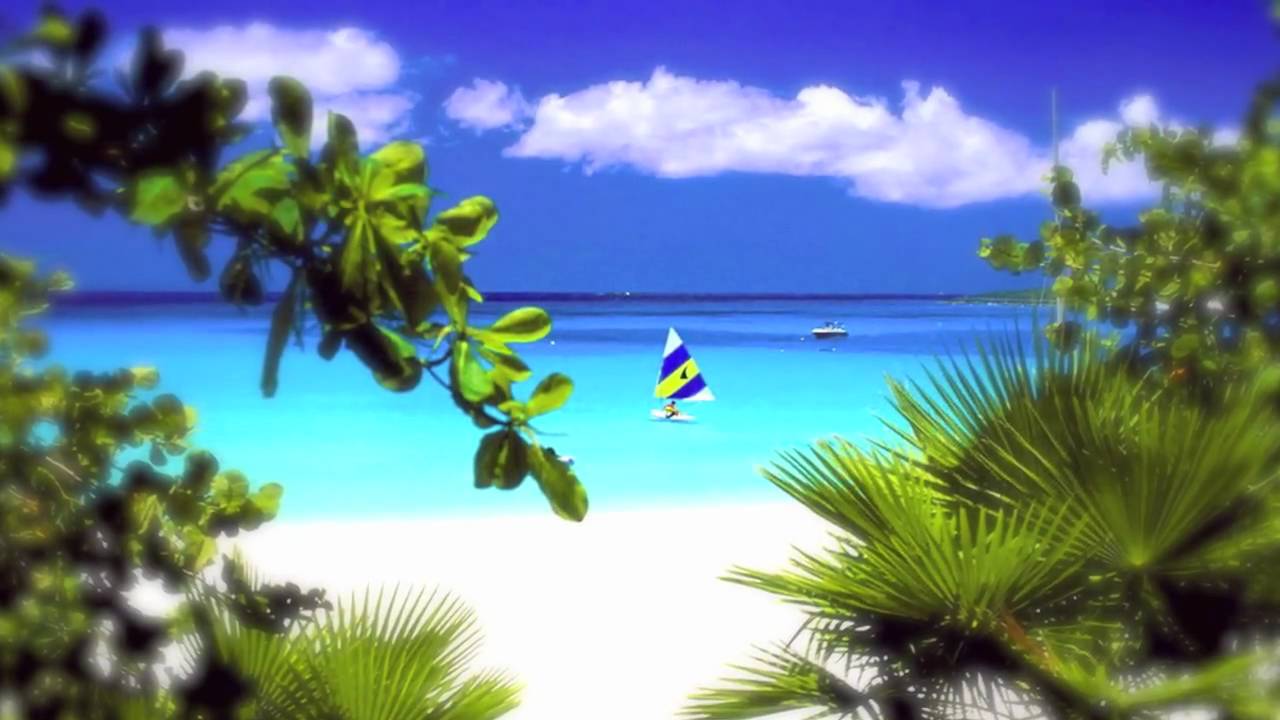 Pantha Vibes International {2010} - Anguilla HD