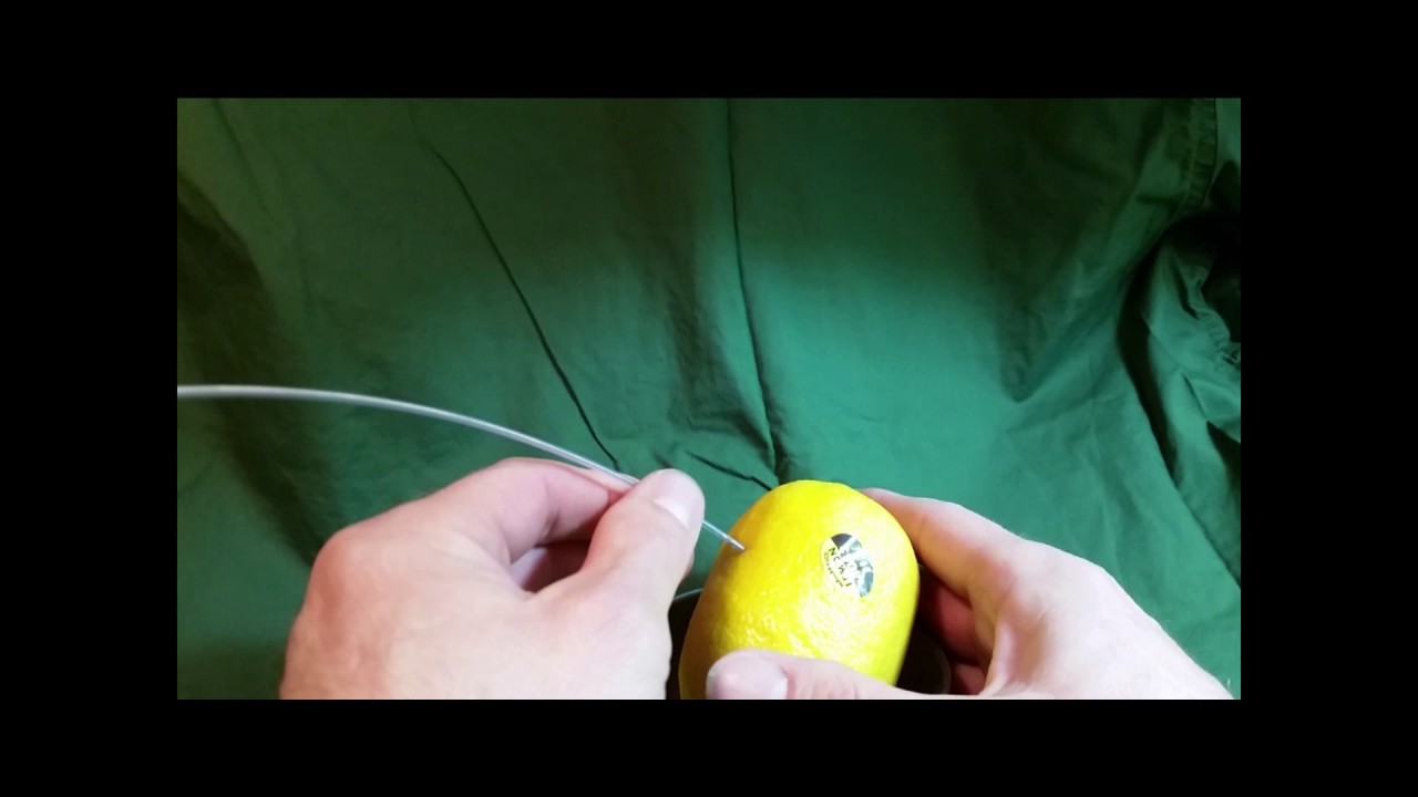 Wangey Pokey - How to use a Wang needle to get a sample