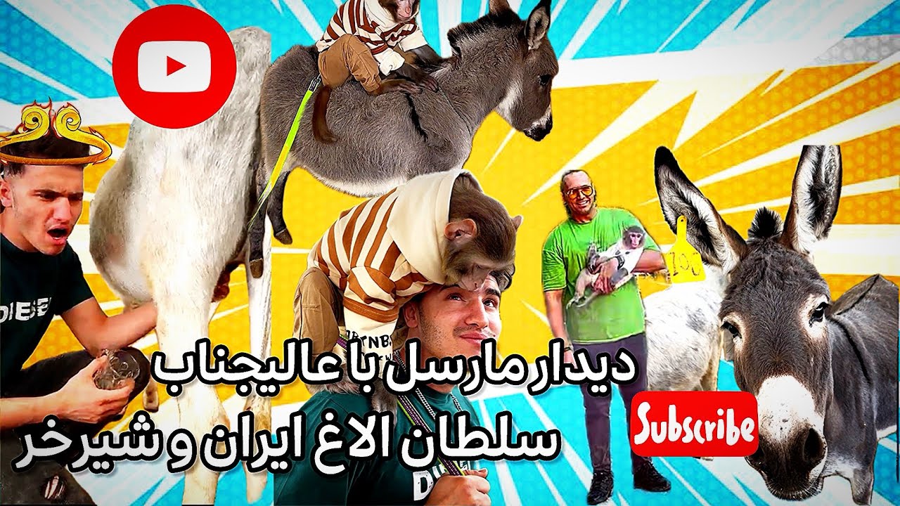 به درخواست خیلی از عزیزان رفتیم سراغ سلطان الاغ ایران احمدرضا و شیرخر که خیلی خواص عجیب دارهههه