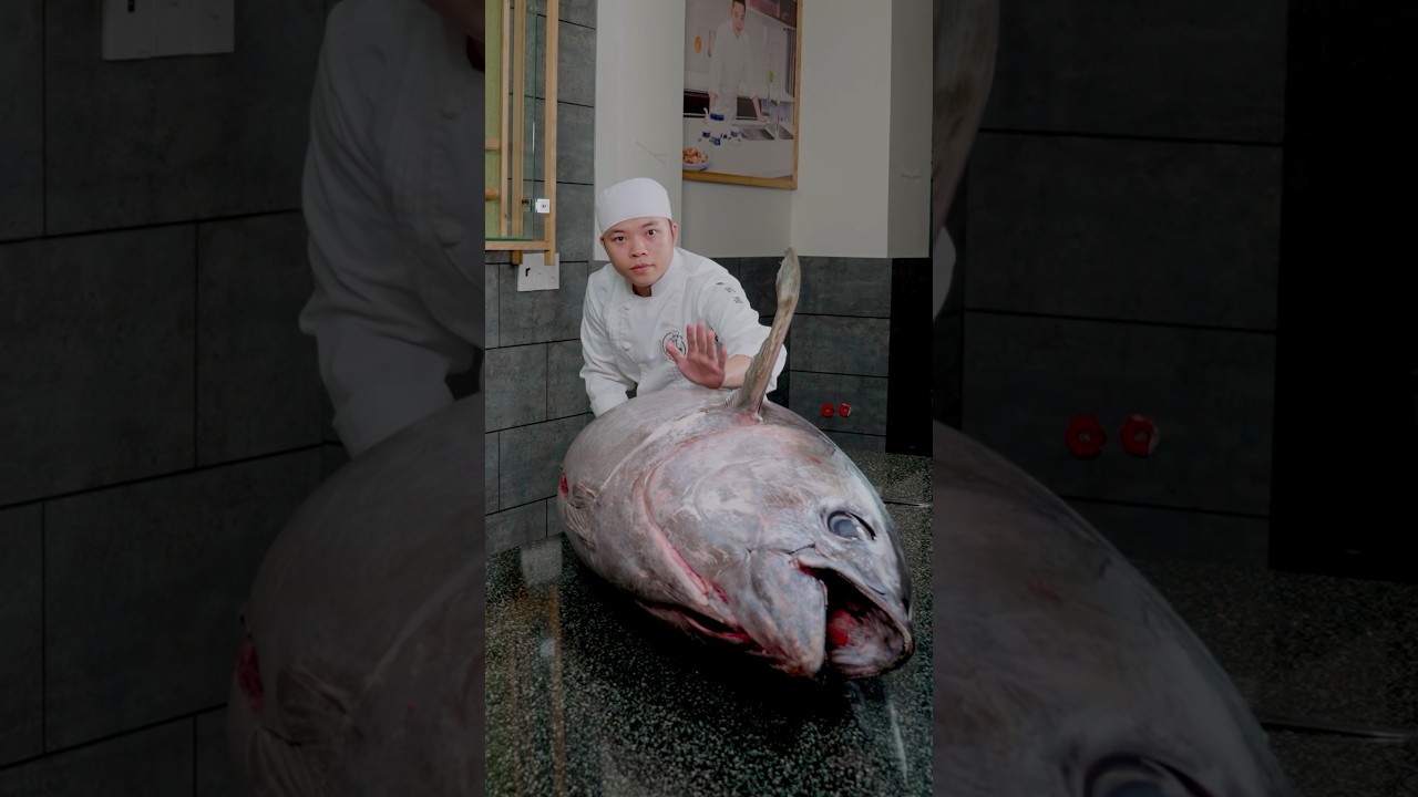Tuna fillet full version 2025 x Hoshi Phan #hoshiphan #sashimi #asmr #maguro #sushi #hoshi