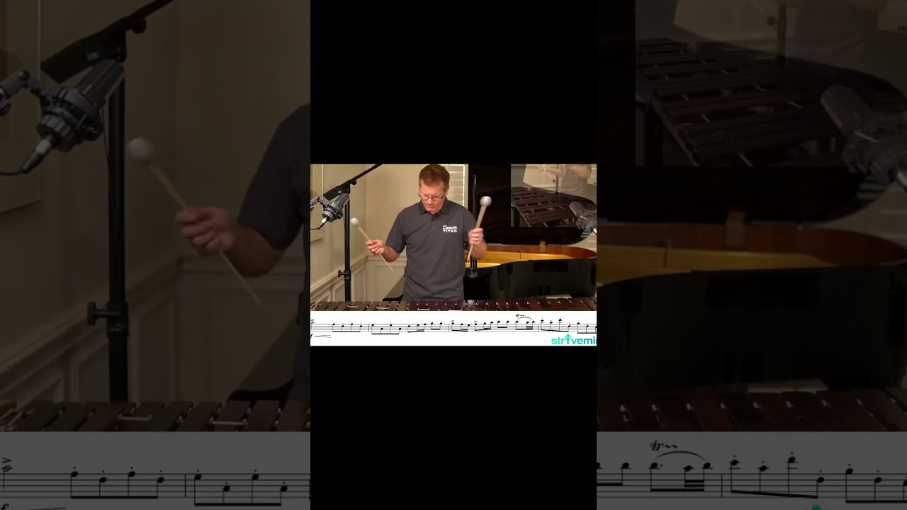 Two Mallet Tutorial and Performance of Excerpt 1 Part 10