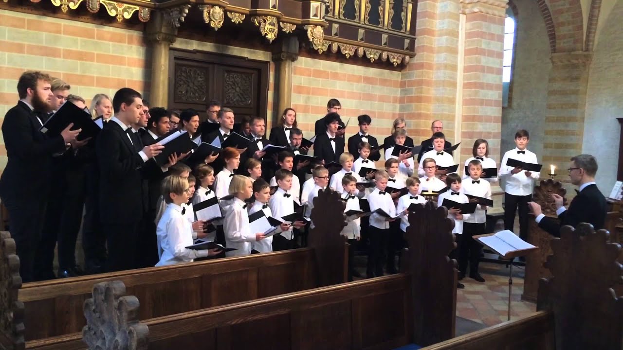 Locus Iste (A. Bruckner) - Haderslev Drengekor