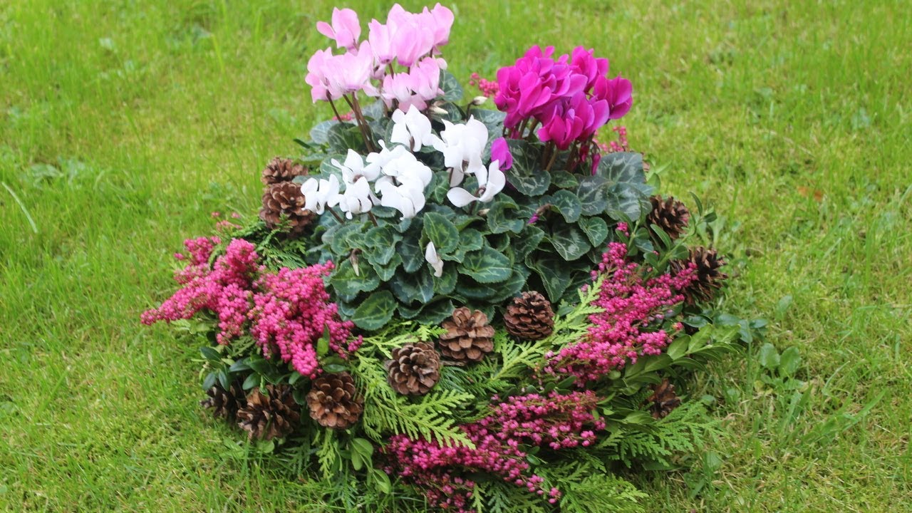 Trauerfloristik -  Pflanzschale für Allerheiligen selber machen ❁ Deko Ideen mit Flora-Shop