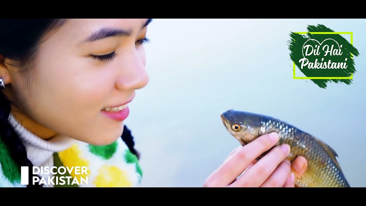 Promo Of Dil Hai Pakistani Show By Discover Pakistan HD TV 2021