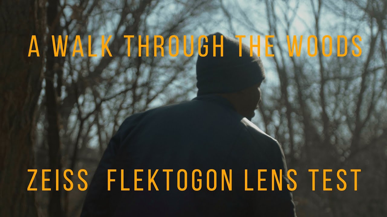 Zeiss Flektogon 35mm 2.8 / GH5 Test