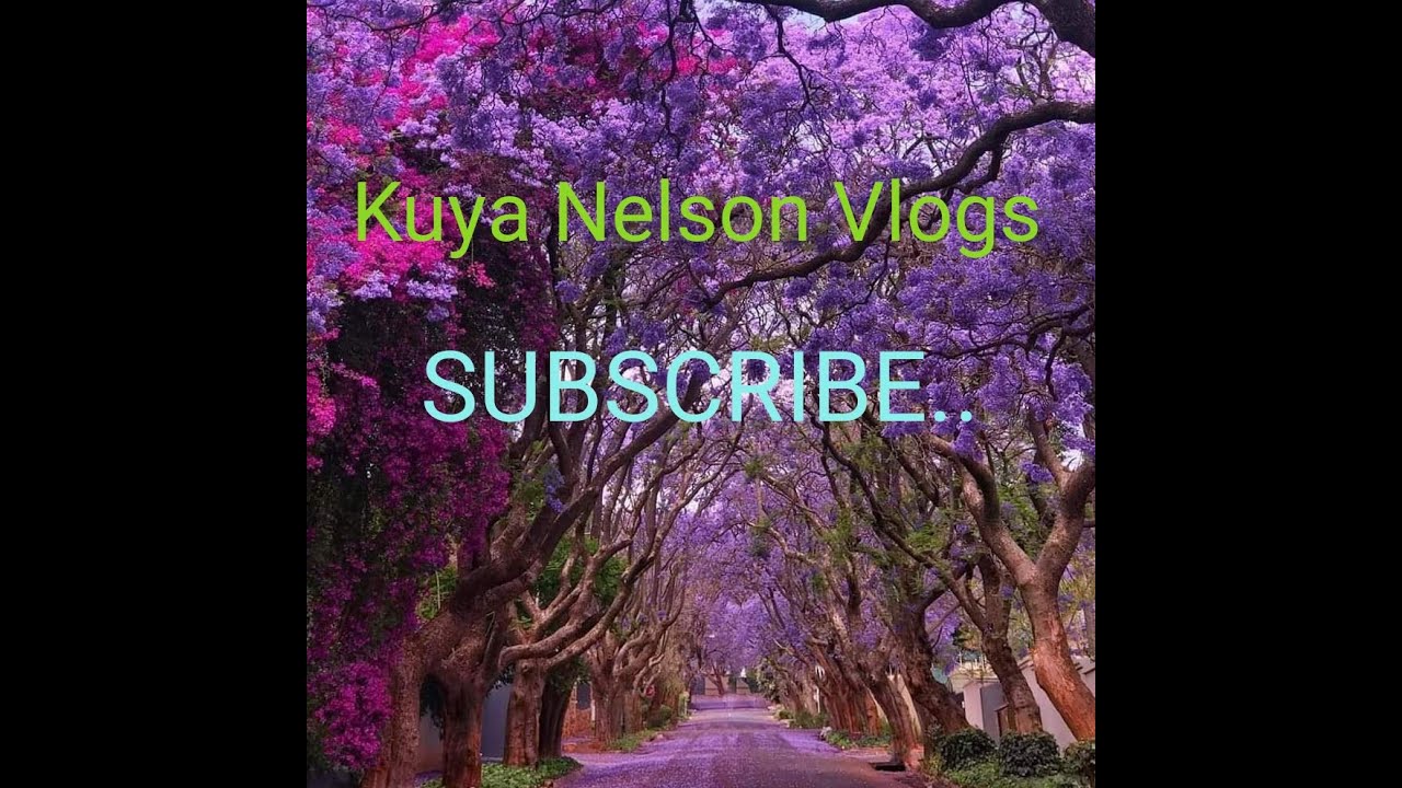 #kuyaNelsonVlogs #tiktoklypsing TIKTOK LYPSING NI KUYA NELSON