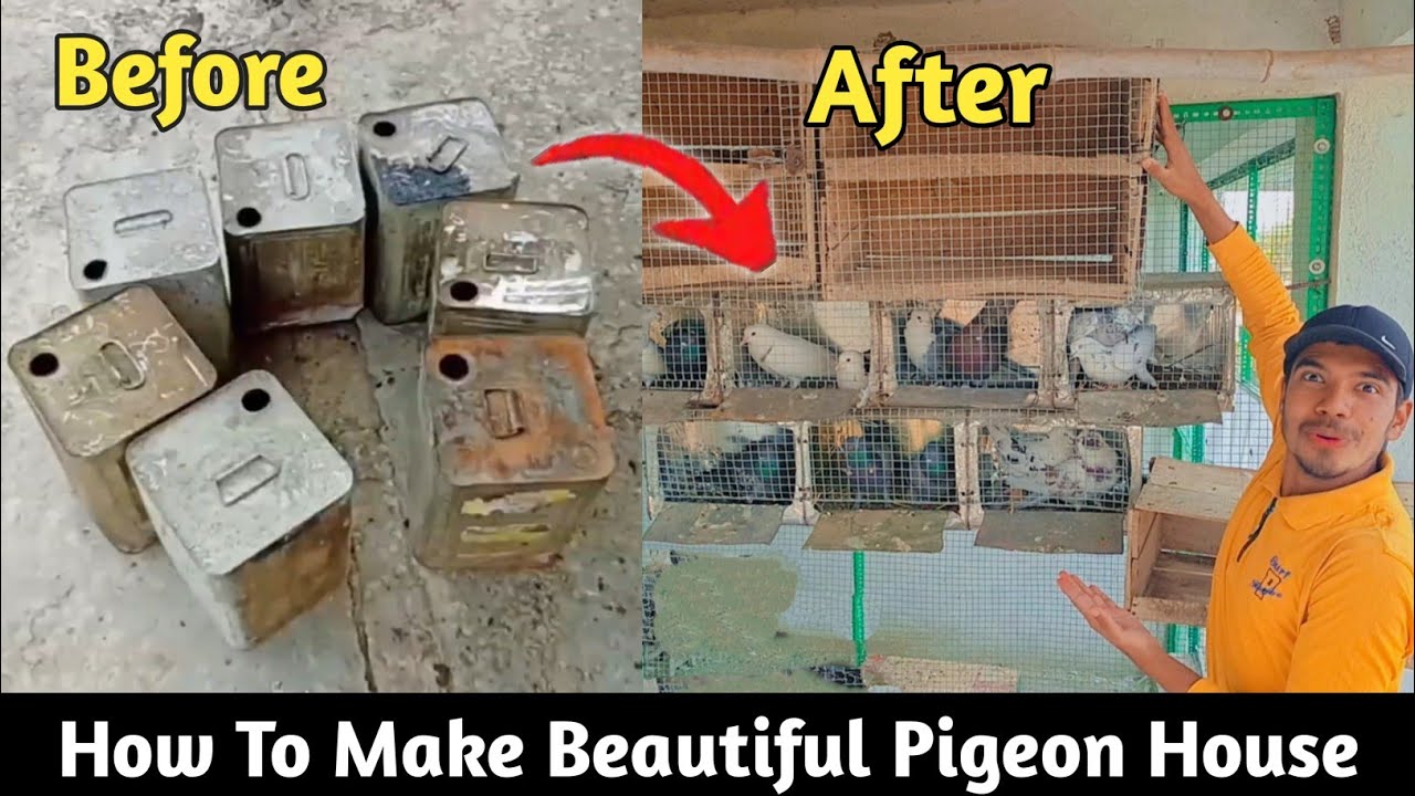 How to make a pigeon's house from a box