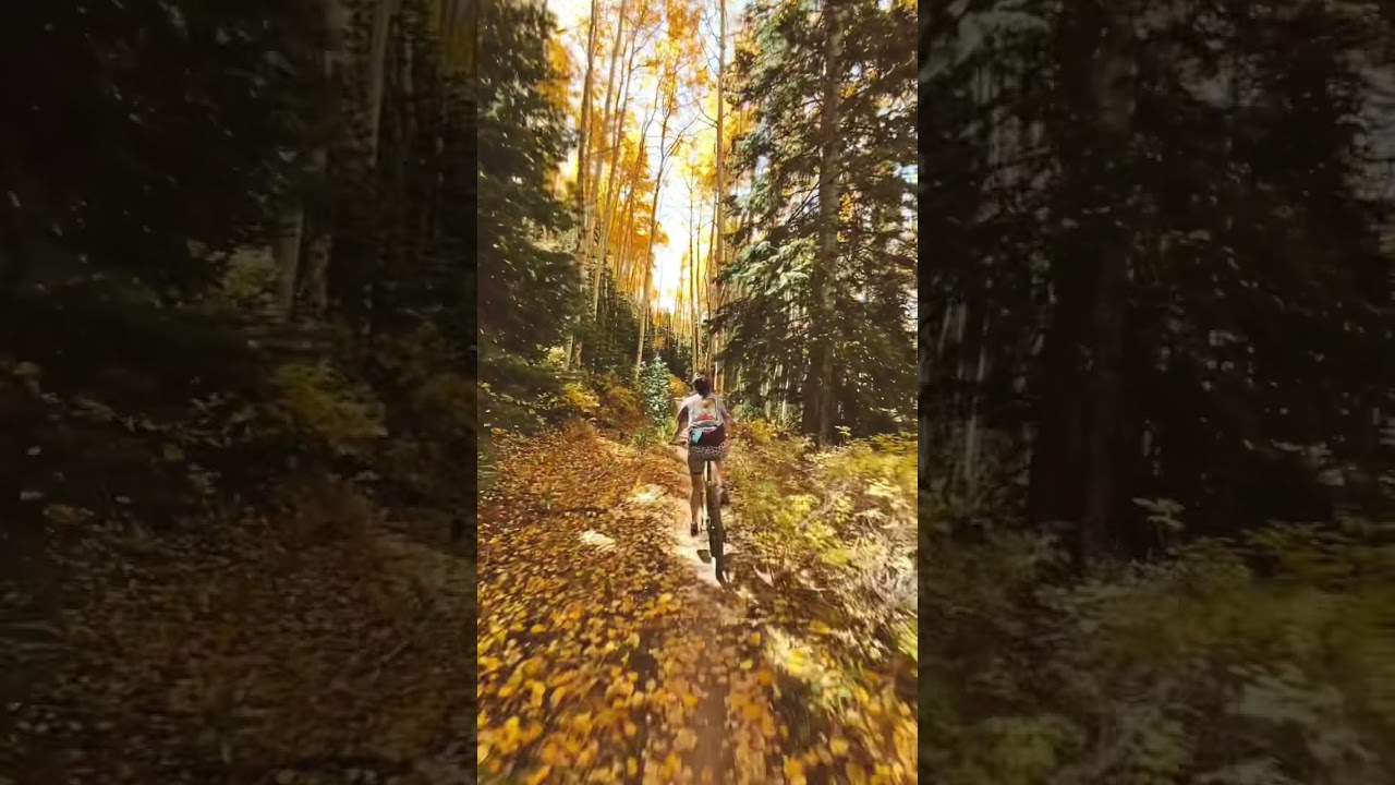 The things you'll see on a mountain bike #shorts #mountainbike #ladyshred #fall #mountains