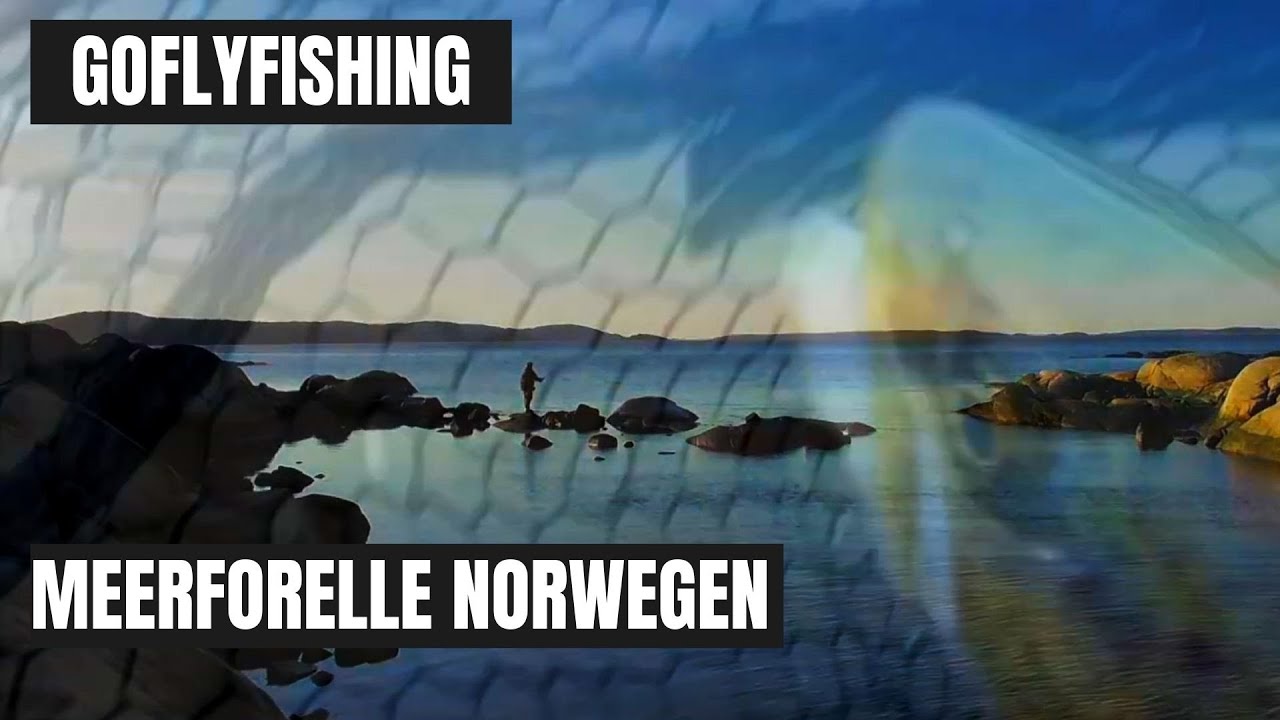Meerforelle Angeln in Norwegen.