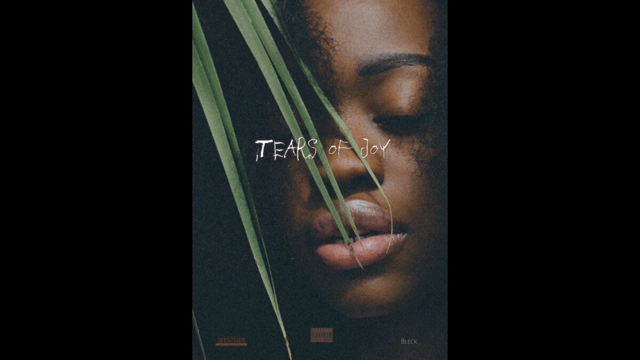 [FREE] Rema x Tyla x Tems Type Beat 