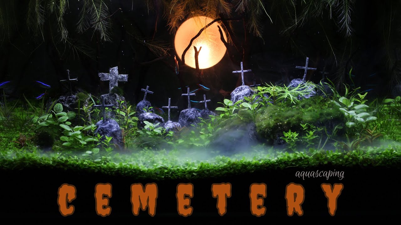 🦇 Aquascaping CEMETERY | Halloween Special 🎃 🕸️ 👻 🪦