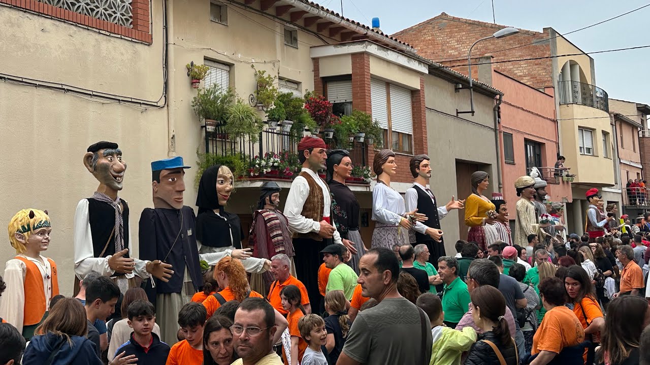 XIV Trobada gegantera de Torregrossa