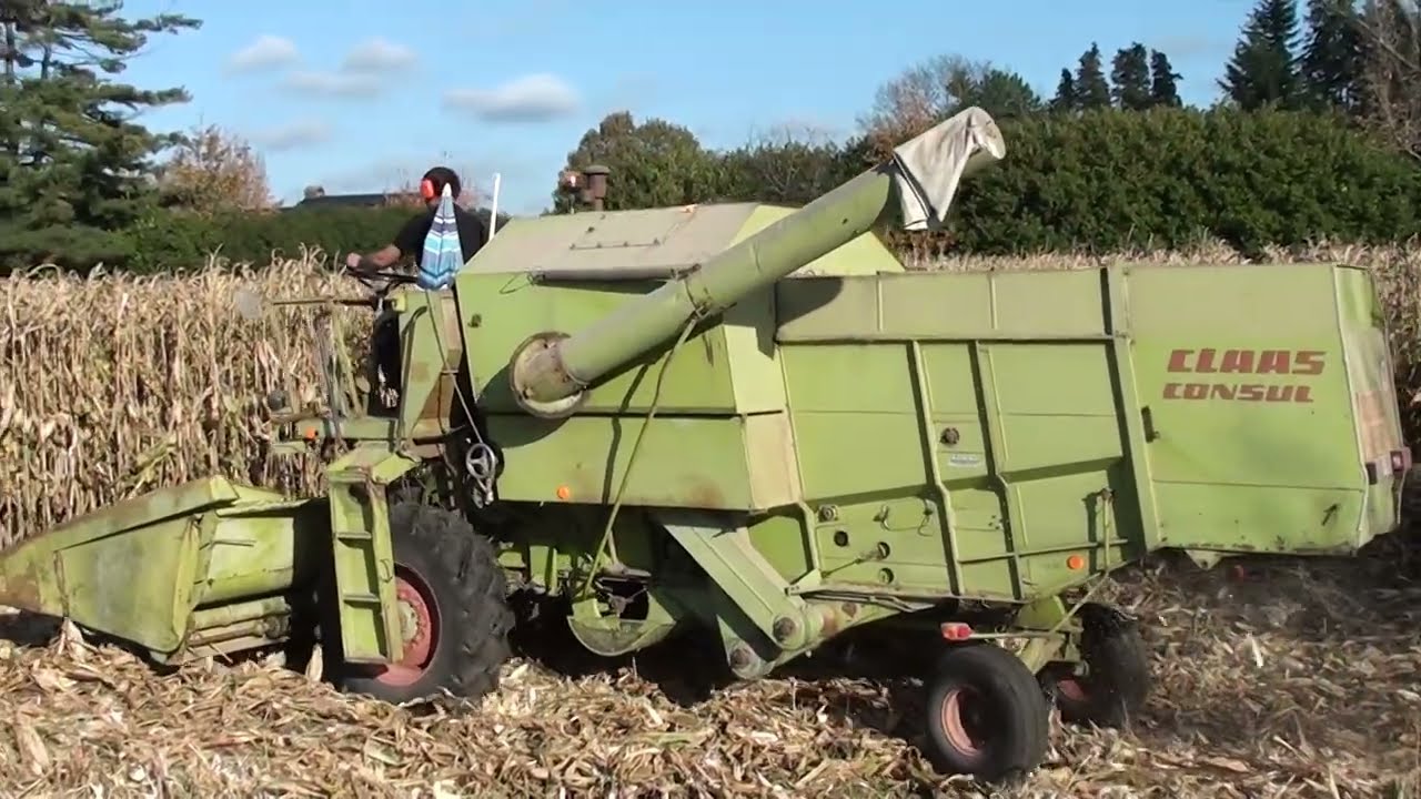 Landb.  Van den Cloot - Ranst - Claas Consul - 1972 - Mais oogst 2025