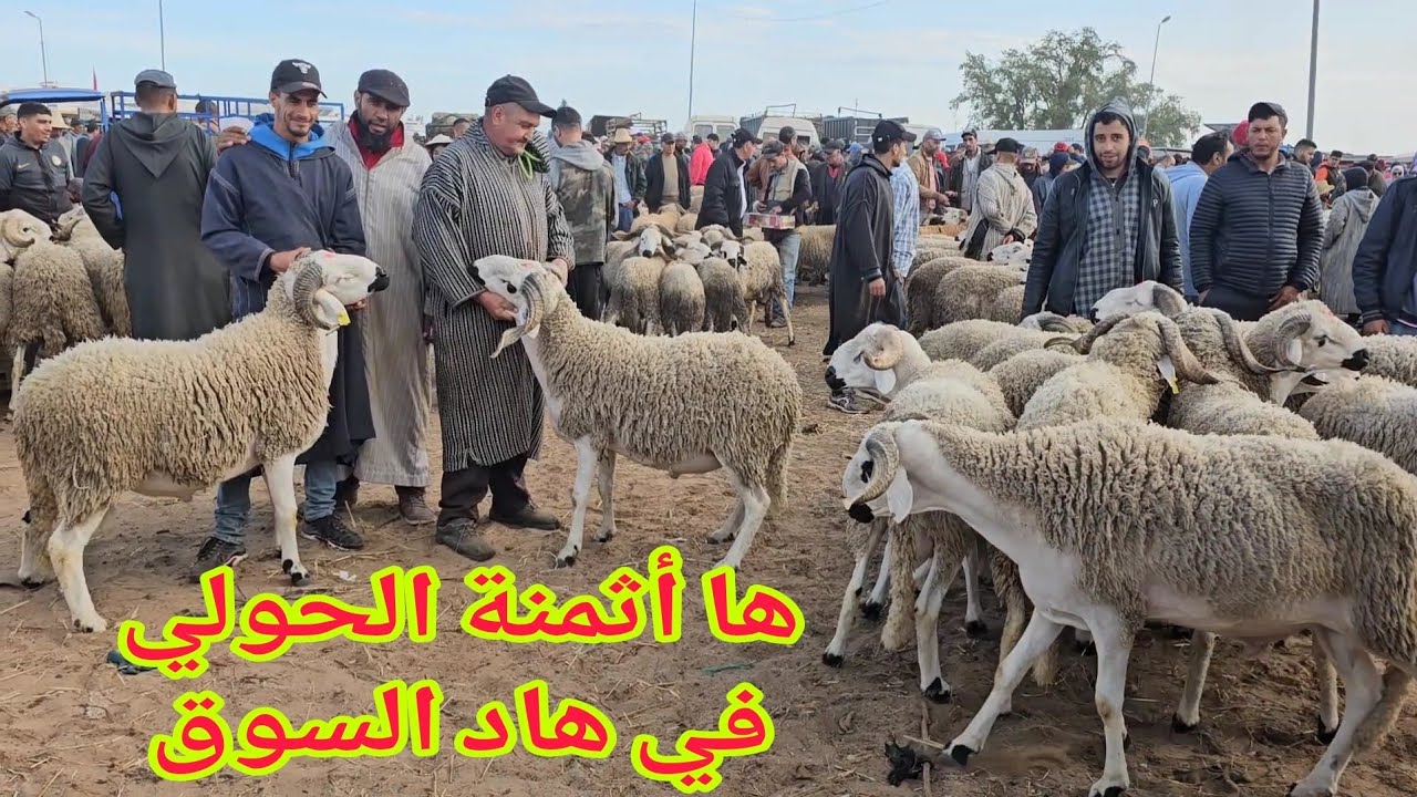 بعدة إلغاء العيد🚨📢📢هالحولي شحال في سوق الأحد الكاموني🇲🇦سيدي علال البحراوي 11\05\2025📞مع الأثمنة