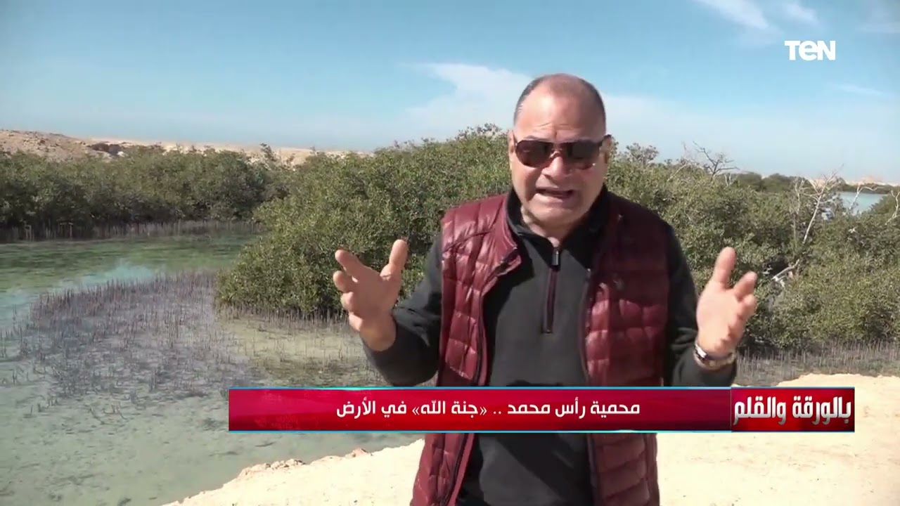 قصص ومعلومات ستعرفها لأول مرة.. جولة خاصة من داخل محمية رأس محمد 