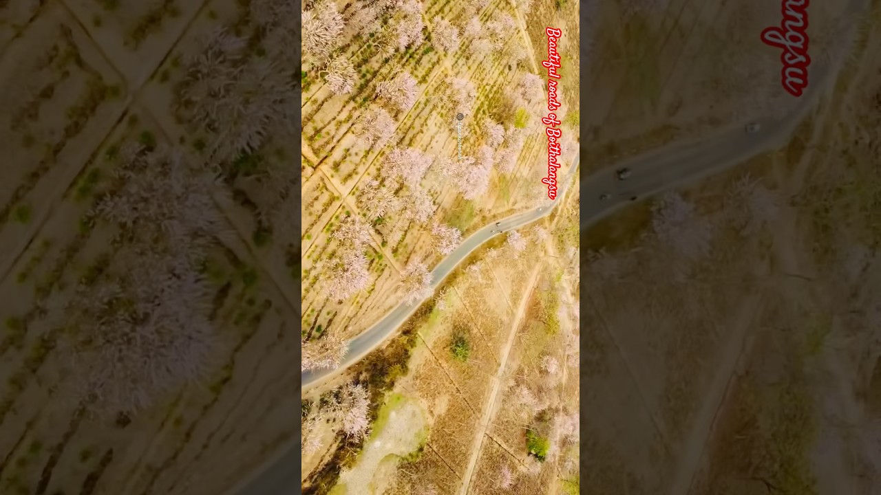 Beautiful roads of Boithalangsu #dipankarborah #dipankarsworld #boithalangsu #drone #djimini2se
